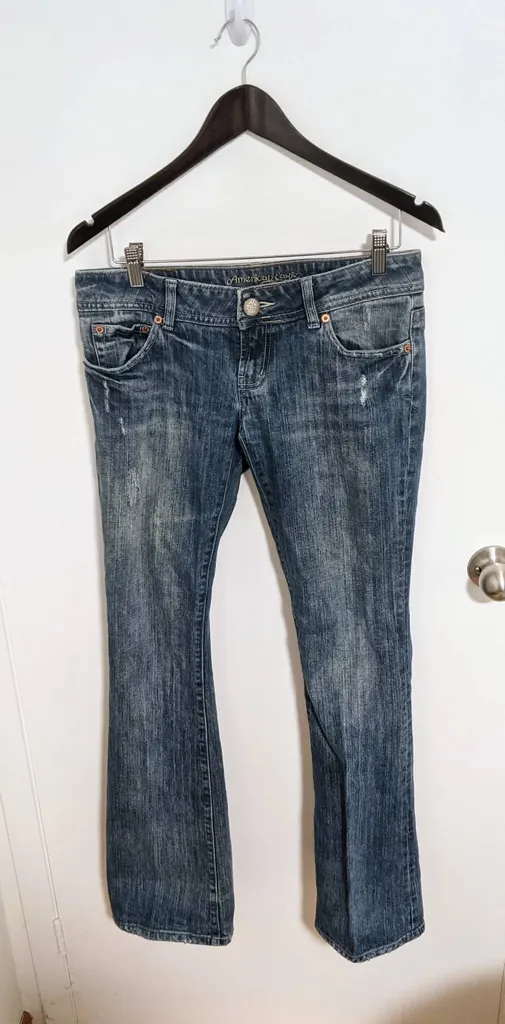 American Eagle Jeans - Women's Size 6 Long photo 1