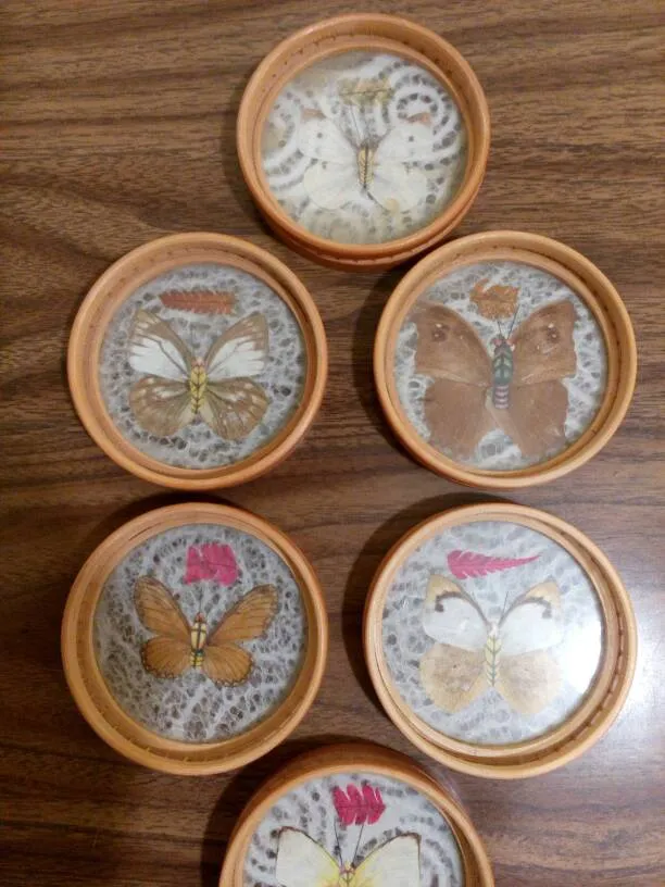 Butterfly Coasters photo 1