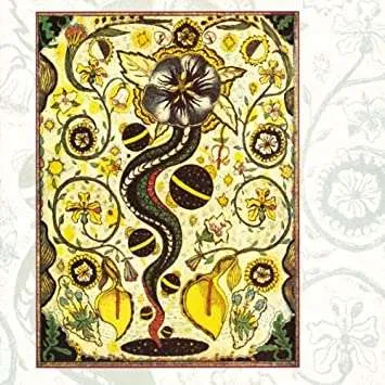 lSO: Steve Earle vinyl photo 1