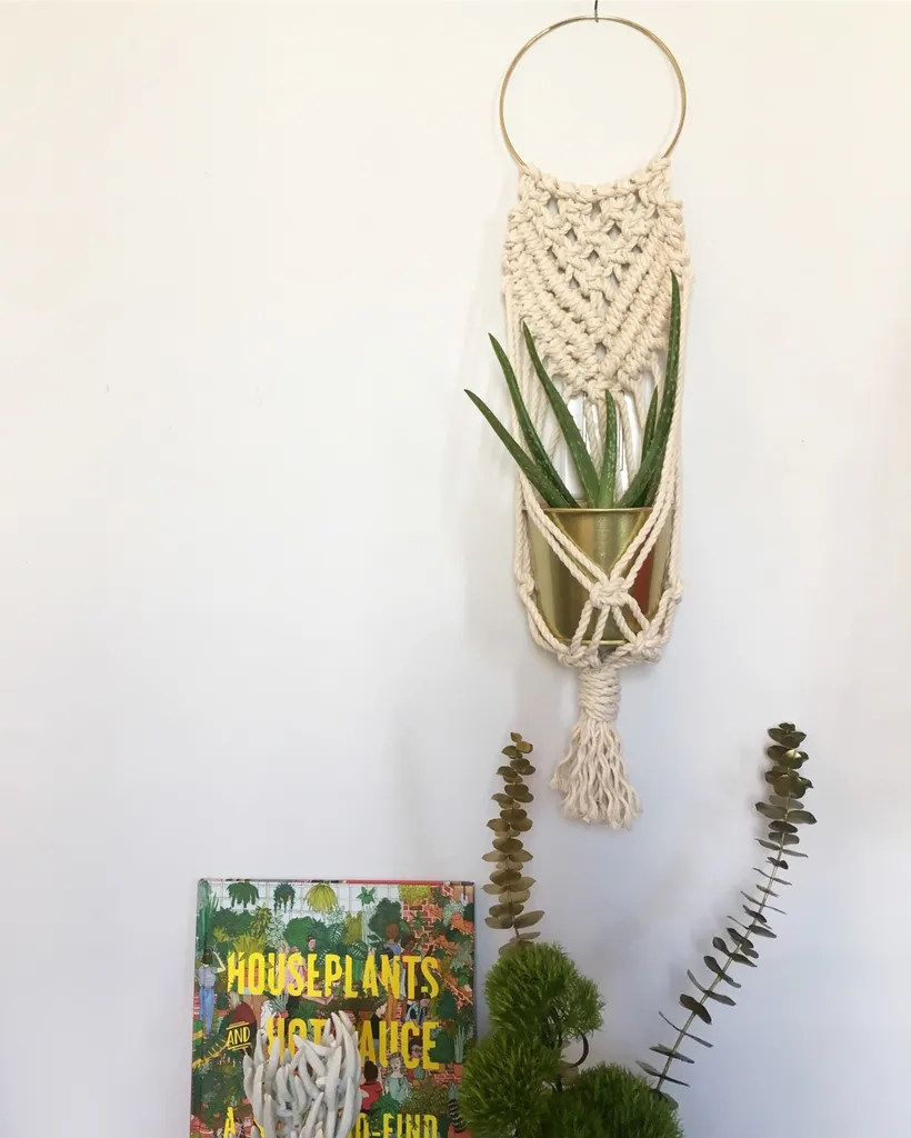 Wall Plant Hanger photo 1