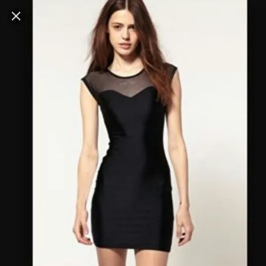 American Apparel Mesh Dress photo 1