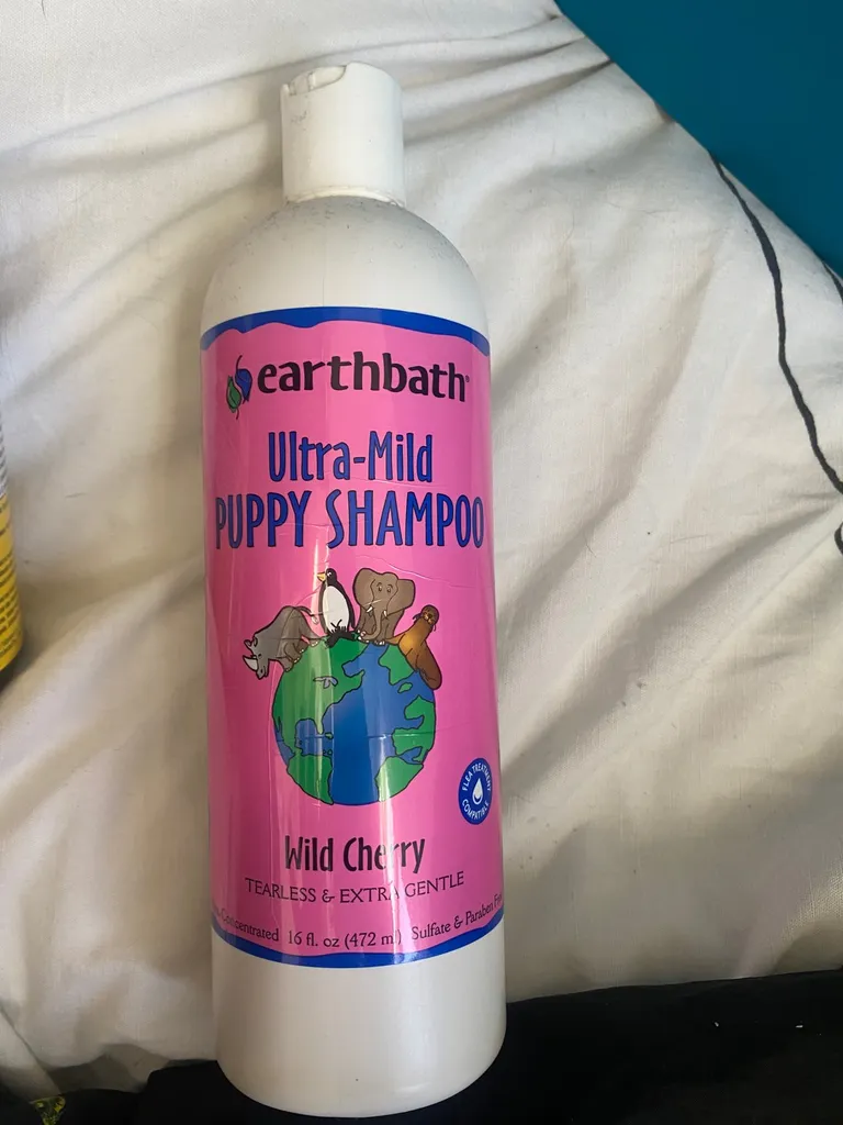 Dog shampoo photo 1