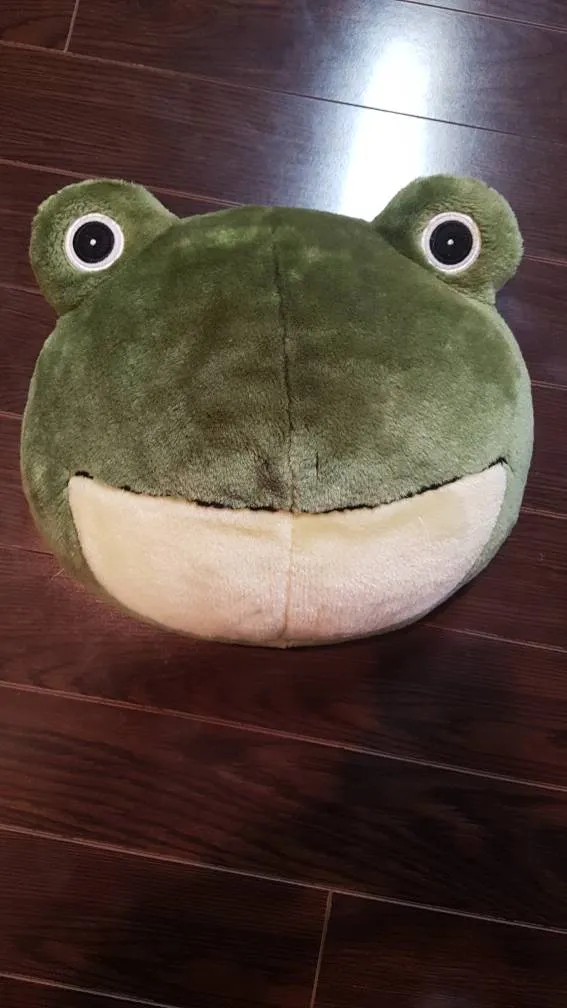 Frog Toutou Stuffed animal Pillow - Toutou Peluche Grenouille... photo 1