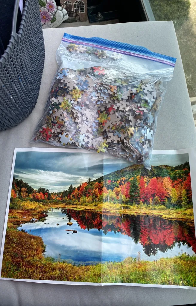 1000 Piece Puzzle! photo 1