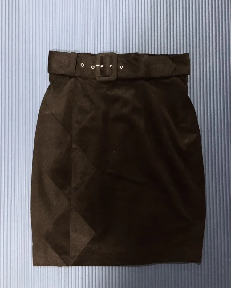 Velvet Skirt (Size 2) photo 1