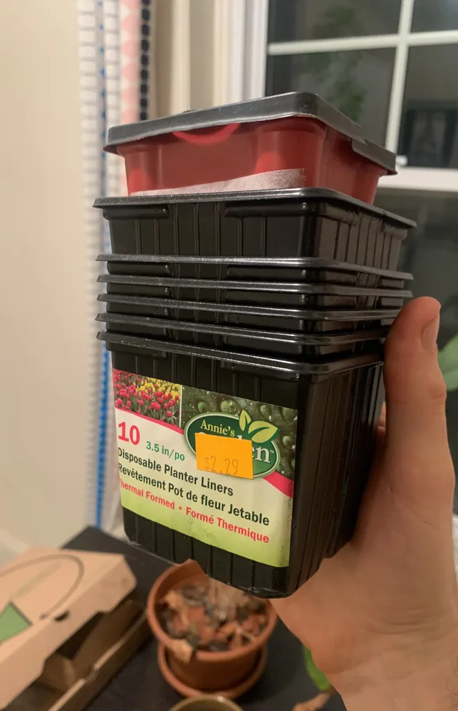 Plant Liners photo 1