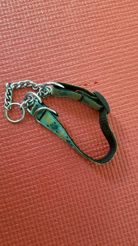 Pineapple Martingale Dog Collar photo 1