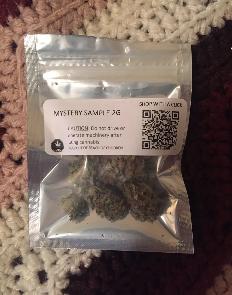 Mystery Weed photo 1