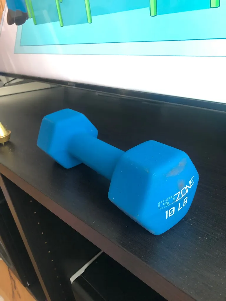 10lb dumbbell photo 1