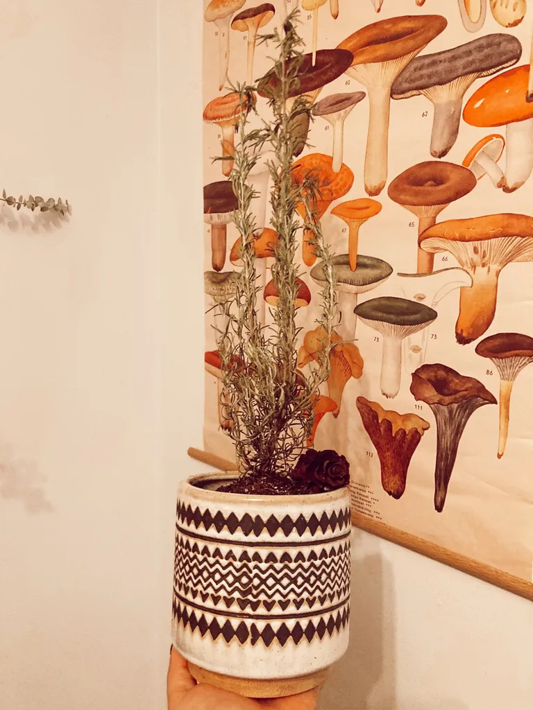 Cute Ceramic Pot photo 1