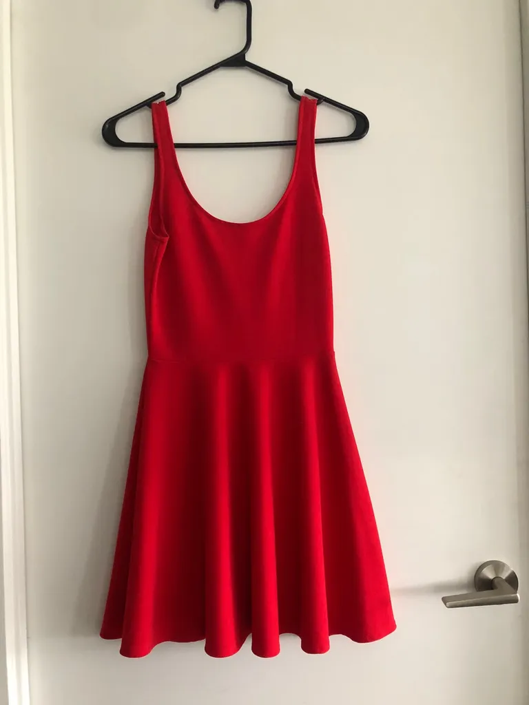 Red Skater Dress photo 1