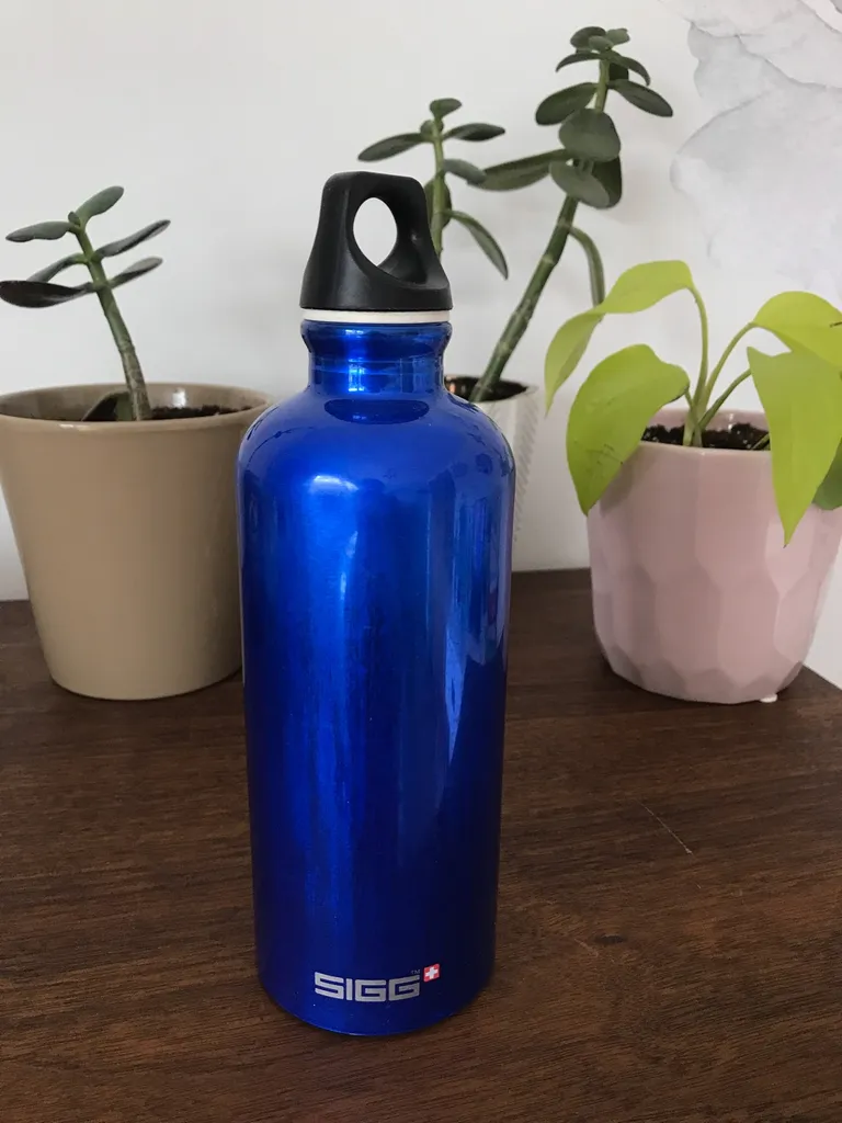 FREE SIGG blue mini water bottle photo 1