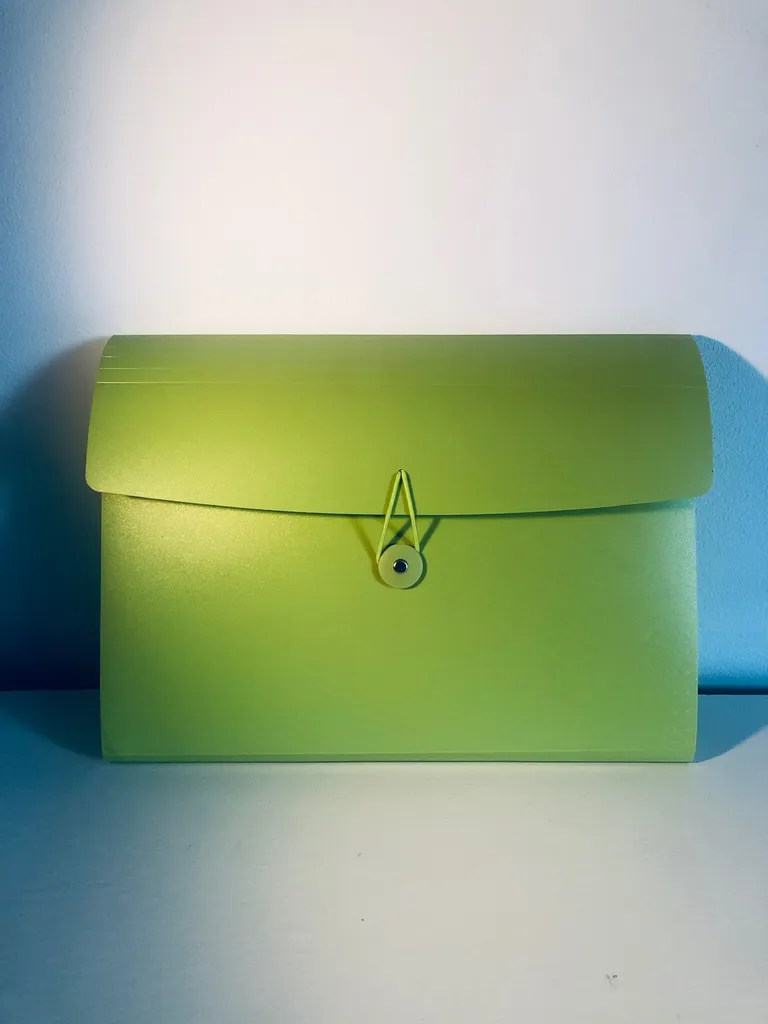 ⨺ OFFICE SUPPLIES: Expanding Organizer File Folder photo 1