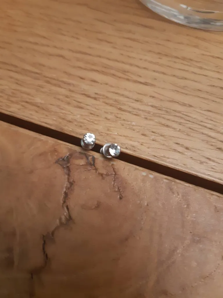 Tiny Shiny Earrings photo 1