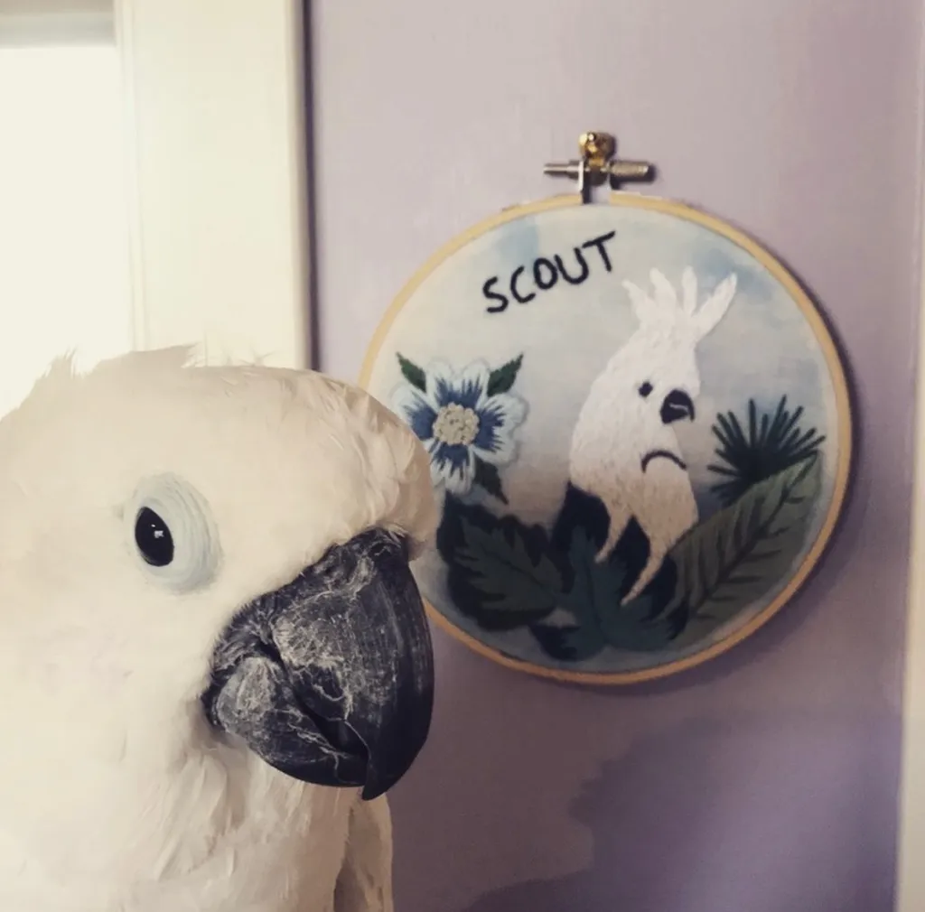 Pet Embroidery! Custom Work! photo 1