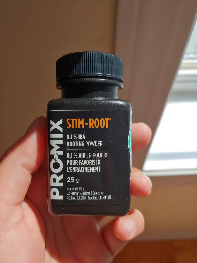 Rooting powder photo 1