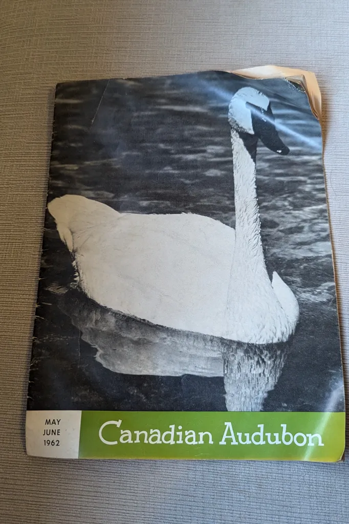 Canadian Audubon Magazine May/June 1962 photo 1