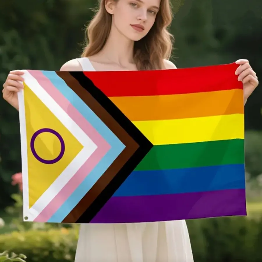 NEW - progress pride flag photo 1