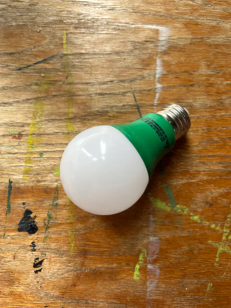 Plant growing lightbulb photo 1