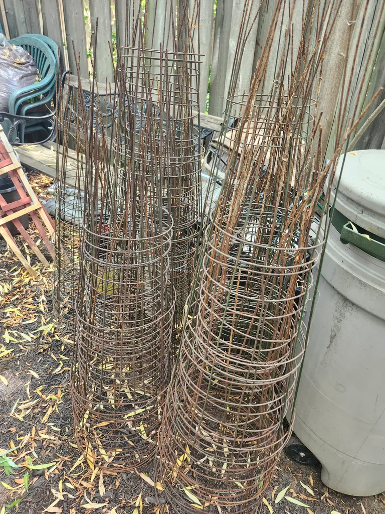 Tomato cages  photo 1