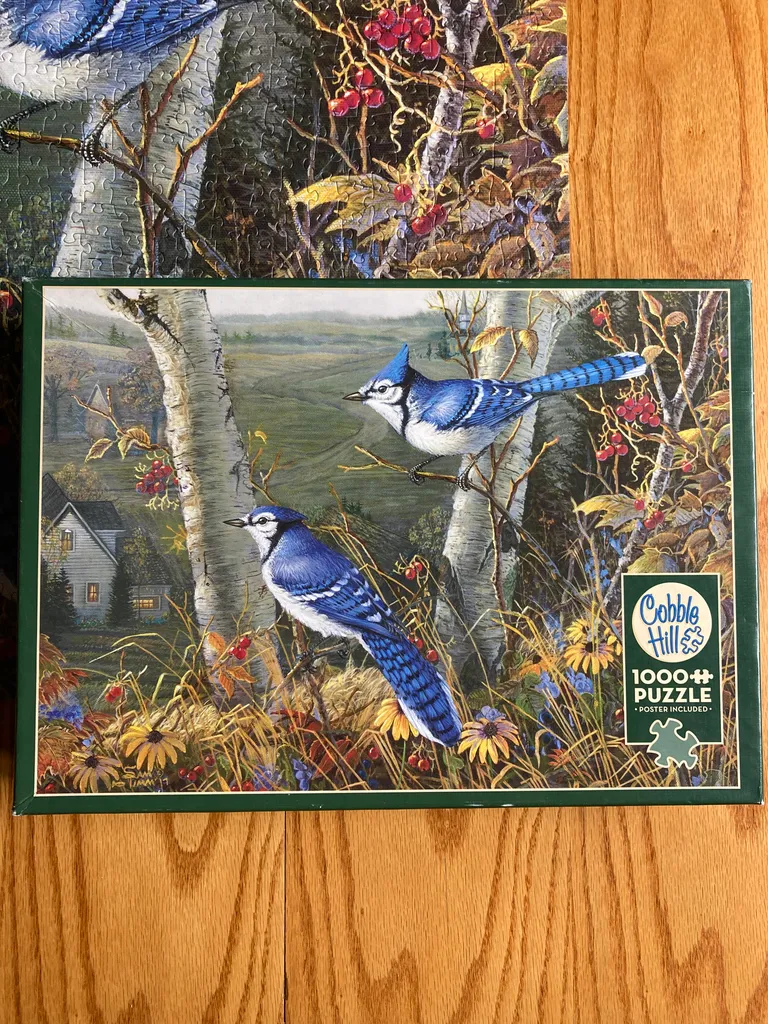 Cobble Hill 1000-pc Puzzle photo 1