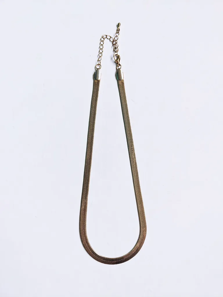 H&M Gold Herringbone Chain Necklace photo 1