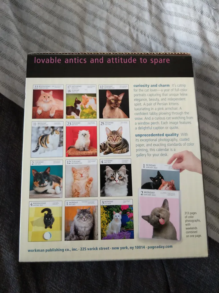 Page a day 2023 cat calendar  photo 1