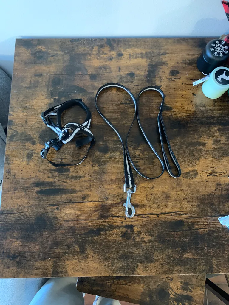 Small dog leash & harness photo 1