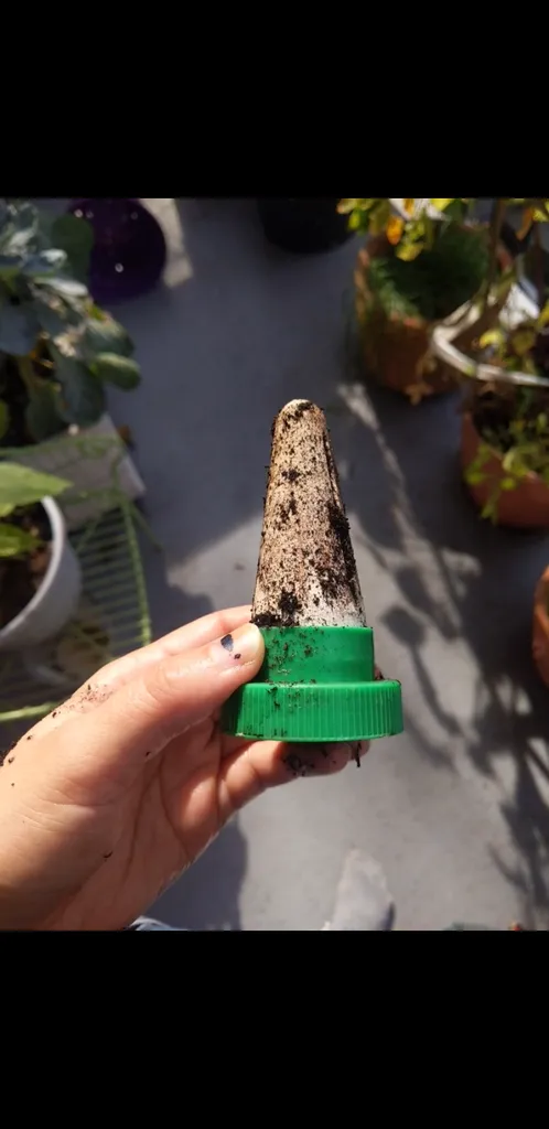 Watering spike photo 1