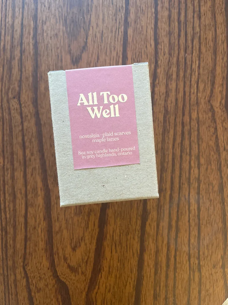 BNIP “All Too Well” Taylor Swift Candle photo 1