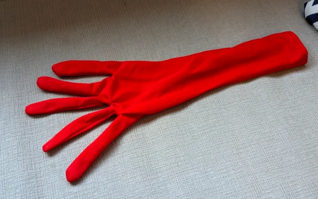 One Red Glove (Halloween Costume) photo 1