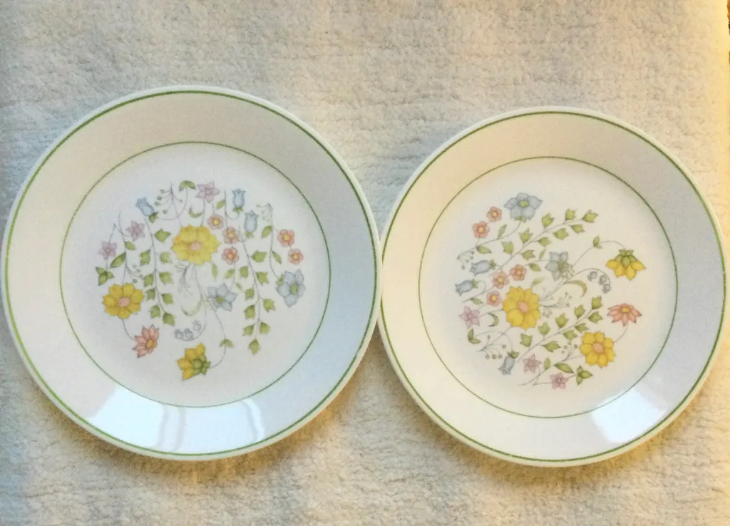 Set of Vintage Corelle Plates (2) photo 1