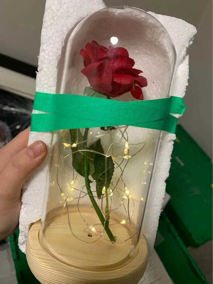 Enchanted Rose photo 1