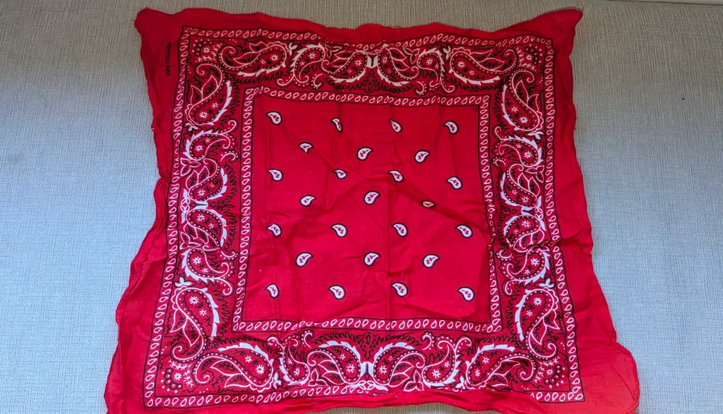 Red Bandana  photo 1