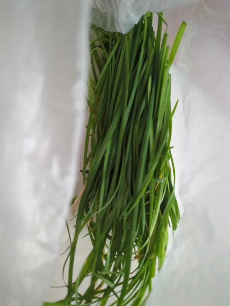 Lots of Fresh Chives photo 1
