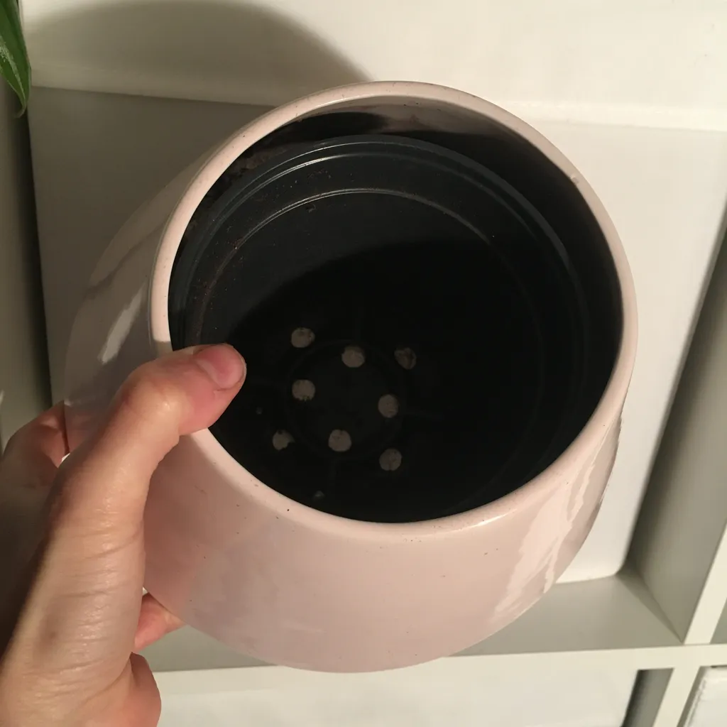  plastic plant pots with drainage photo 1