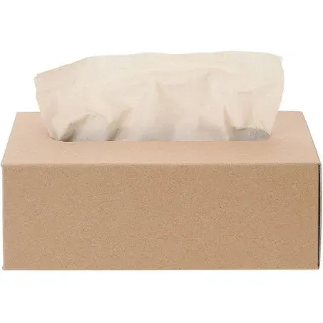 facial tissue or toilet paper photo 1