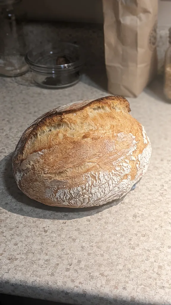 Bread season is open! photo 1