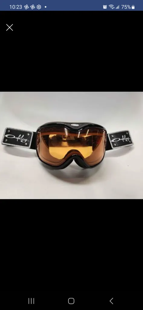Oakley's snow/ski goggles photo 1