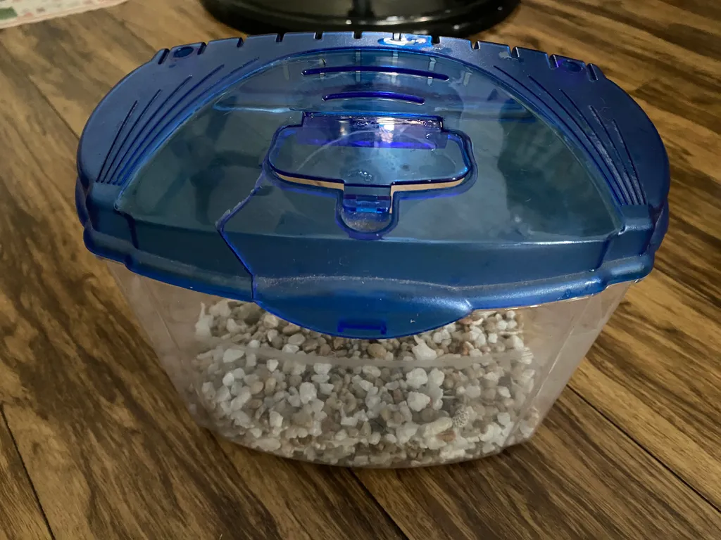 Small Plastic Tank/Terrarium photo 1