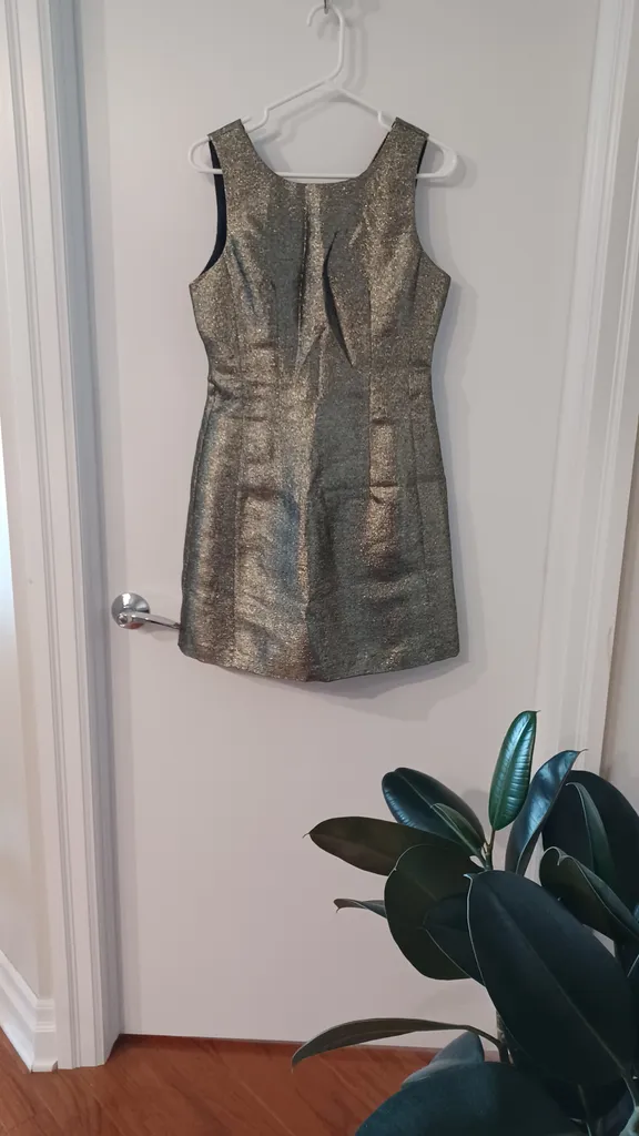 Gold/black formal dress photo 1