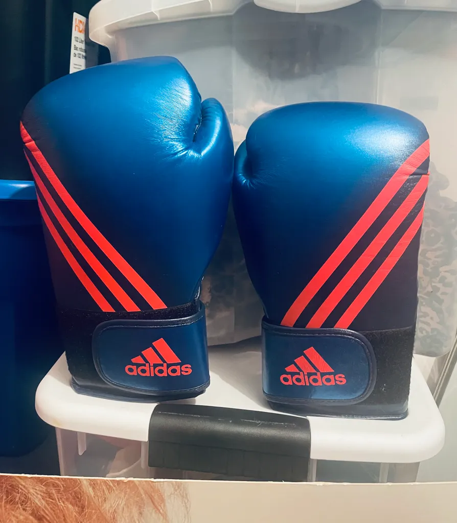 Adidas boxing gloves  photo 1