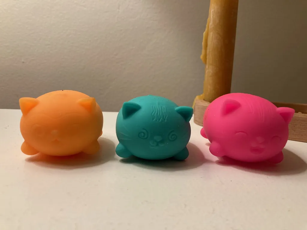 sensory cats photo 1