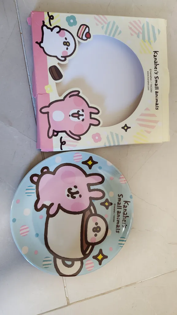 Plastic plate brand new photo 1