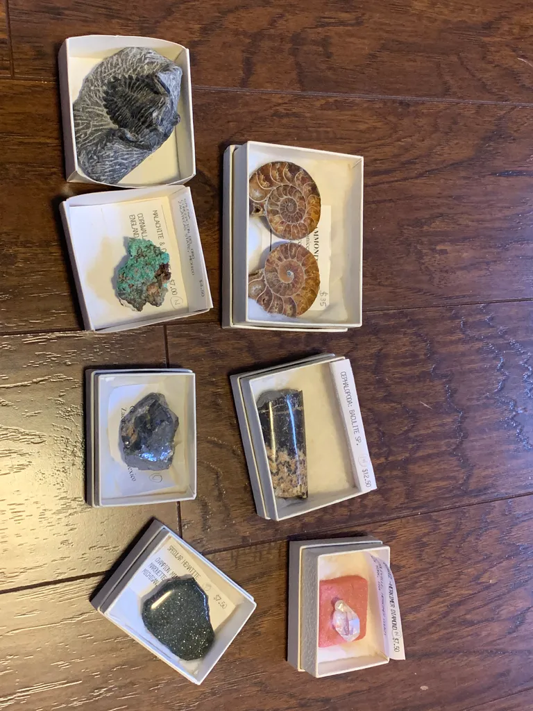 Fossil and mineral collection photo 1