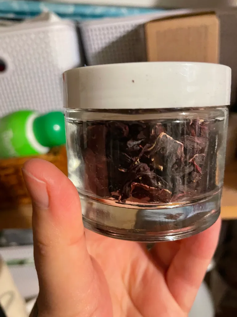 Hibiscus Flower photo 1