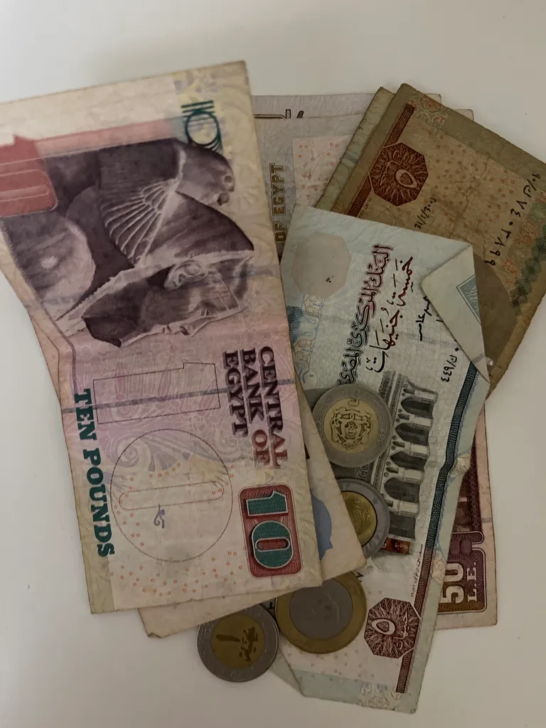 Egyptian pounds photo 1