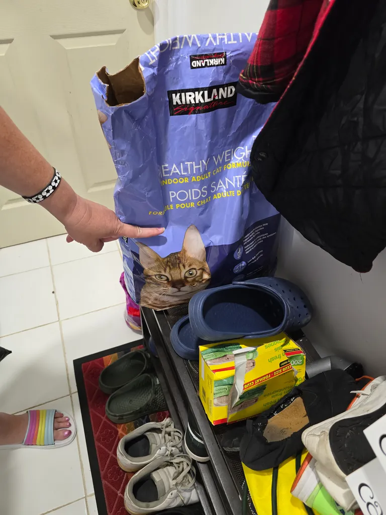 Kirkland cat food half full. photo 1