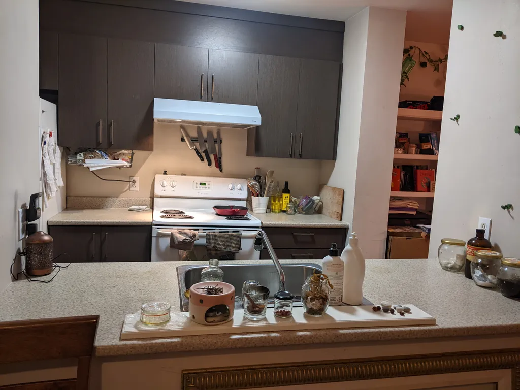 Vegan cooking photo 1