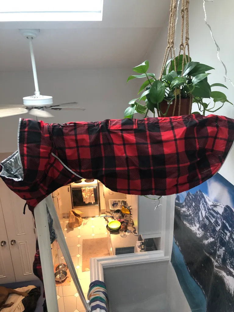 Canada pooch dog coat  photo 1